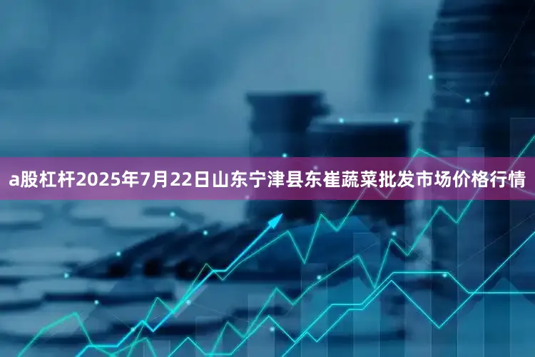a股杠杆2025年7月22日山东宁津县东崔蔬菜批发市场价格行情