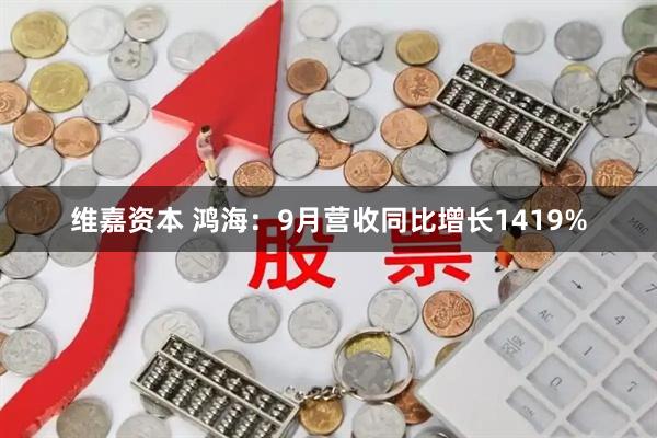 维嘉资本 鸿海：9月营收同比增长1419%