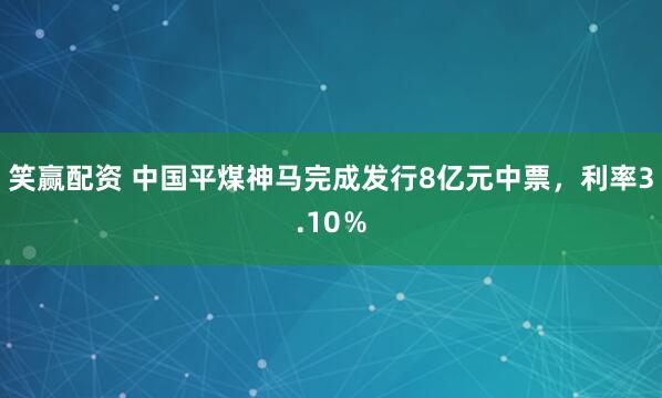 笑赢配资 中国平煤神马完成发行8亿元中票，利率3.10％