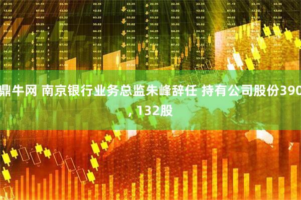 鼎牛网 南京银行业务总监朱峰辞任 持有公司股份390, 132股